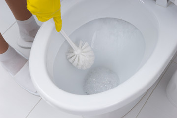 Housewife cleaning the toilet in the bathroom