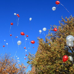 balloon/ red and white balloons ascending in the blue sky