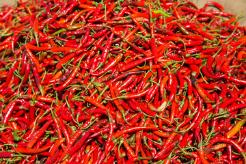 Fototapeta premium Hot chilli peppers