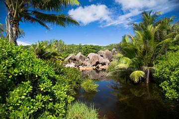 Tropical landcape, lake, palm tree, sky and green bushes