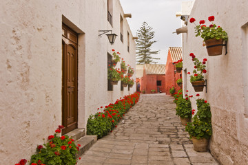Fototapeta na wymiar red buildings and garden with flowers, arequipa monastery street 