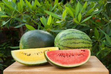 Yellow and red watermelon slice on a wooden table in garden