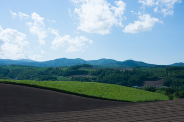 初夏の田園風景