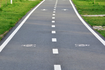 Bike lane with bike sign painted on the asphalt