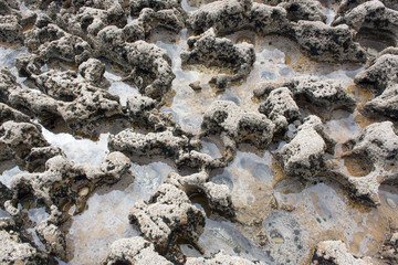 Coast Ground near Luz
