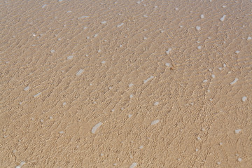Fototapeta na wymiar Shallow Water on Maia Preia Beach