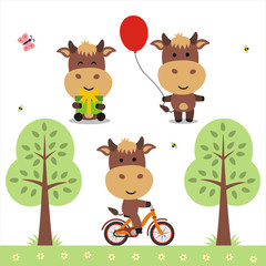 Obraz premium Cartoon cow set. Funny cow with gift, balloon and on bicycle. Collection isolated cow on white bacground.