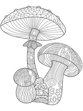 Mushroom Coloring Vector For Adults