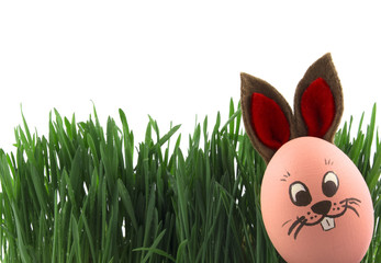 Яйцо пасхальный кролик в зеленой траве
