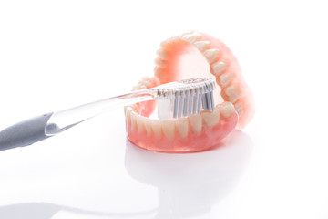 Obraz premium Teeth model with toothbrush on white background