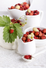 Fresh red and white small wild strawberries.