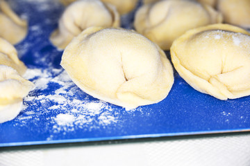 Uncooked homemade pelmeni lies on a flour