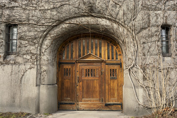 Fototapeta na wymiar Carved wooden gate in medieval castle entwined with dry vine