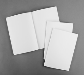 Blank catalog, brochure, magazines, book mock up