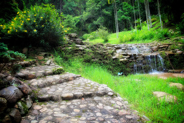 Garden stone path with waterfall