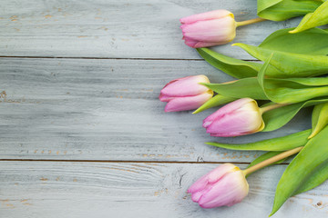 Pink tulips on wooden background, top view