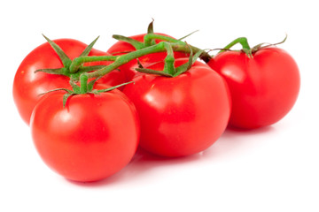 branch of tomatoes isolated on white