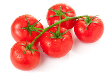 branch of tomatoes isolated on white