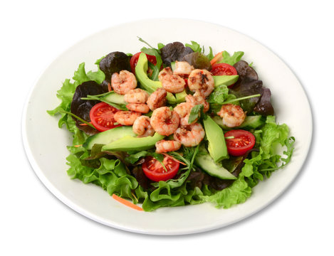 Schrimpsalat / Salat freigestellt auf wei&szlig;em Teller