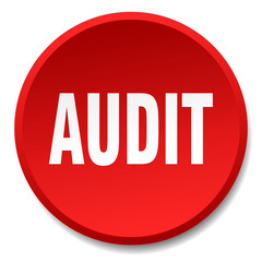 audit red round flat isolated push button