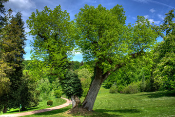 Schlosspark Bad Liebenstein Thüringen
