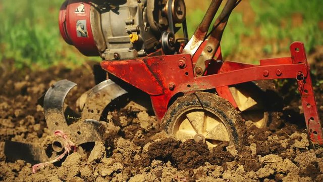 Man preparing garden soil with cultivator tiller, new seeding season on home vegetable farm
