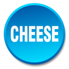cheese blue round flat isolated push button