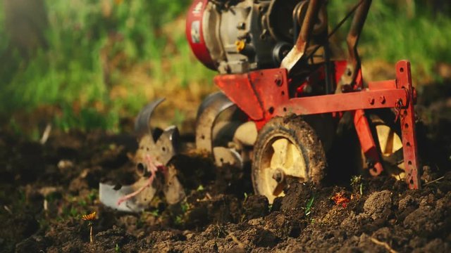 Man preparing garden soil with cultivator tiller, new seeding season on home vegetable farm
