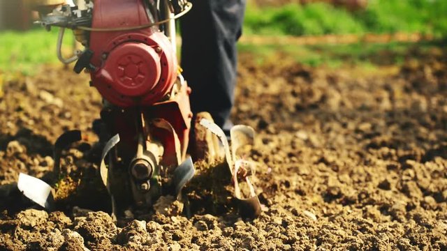 Man preparing garden soil with cultivator tiller, new seeding season on home vegetable farm
