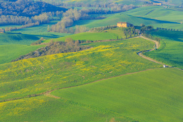Fototapeta na wymiar Hills of Tuscany, Italy