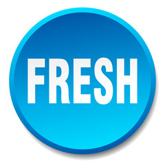 fresh blue round flat isolated push button