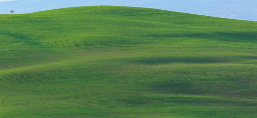 Fototapeta premium Hills of Tuscany, Italy