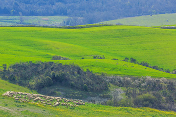 Hills of Tuscany, Italy