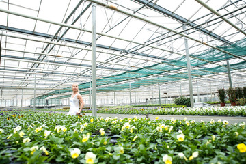 Young gardener woman standing in a greenhouse	