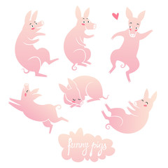 Funny pigs. set of cute characters