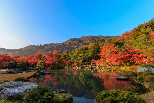 大池と朝日に照らしだされる紅葉　その１