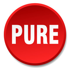 pure red round flat isolated push button