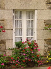 finestra con tende ricamate e fiori