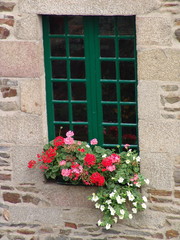 Fototapeta na wymiar Finestra verde con fiori