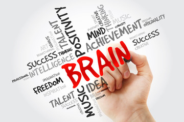 Hand writing Brain with marker, word cloud business concept