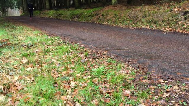 Frau joggt auf einem Waldweg bei Regenwetter  4k video