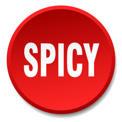 spicy red round flat isolated push button