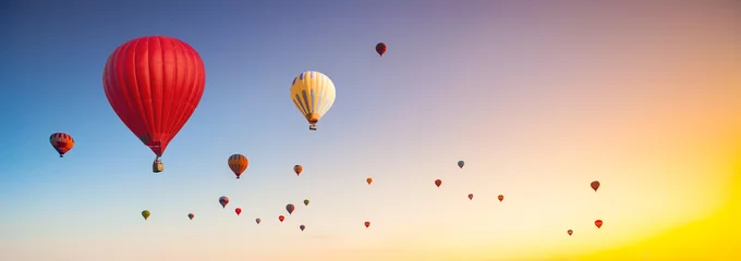 Abwaschbare Fototapete Heißluftballons © Goinyk