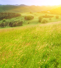 Obraz premium Nature beautiful background