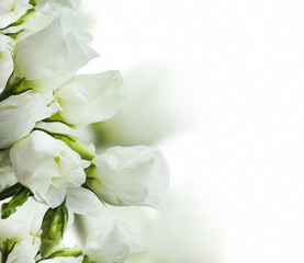 Obraz na płótnie Canvas White roses bouquet