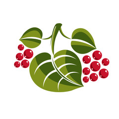 Simple green deciduous vector tree leaf with red seeds, stylized