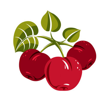 Red simple vector cherries with green leaves, ripe sweet berries