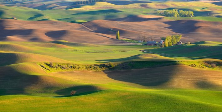 Sunset view of the farm in the rolling hills farmland. Palouse Hills in Washington, United State of America.