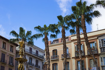 Palms on Plaza de la Constitucion/Palmy na Placu Konstytucji