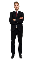 Handsome businessman full length portrait © Minerva Studio